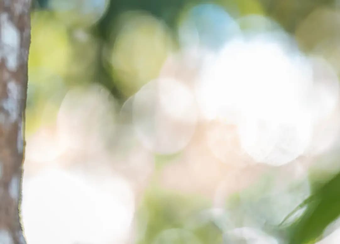 智能汽车钣喷中心解决方案 - Uncle Robot